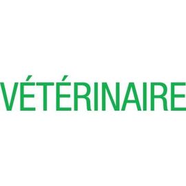 Vitrophanie vétérinaire