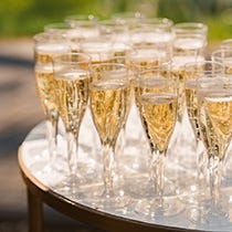 Verres et flûtes jetables