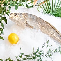Emballage poissonnerie