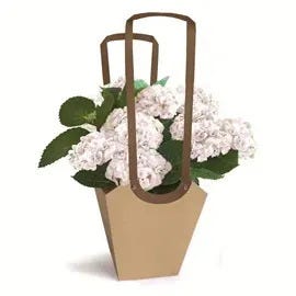 Sacs fleuriste