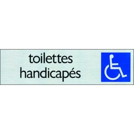 Pickup route alu toilettes handicapés Pickup route alu toilettes handicapés
