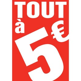 Carton tout à 5 € 21x30 cm rouge recto/verso PROMOTION CARTON ROUGE PAR 1 Carton tout à 5 € 21x30 cm rouge recto/verso PROMOTION CARTON ROUGE PAR 1