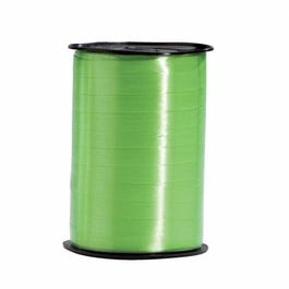 Bolduc standard vert clair 10mmx250M Bolduc standard vert clair 10mmx250M